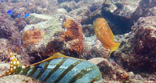 体を動かしてリフレッシュ。