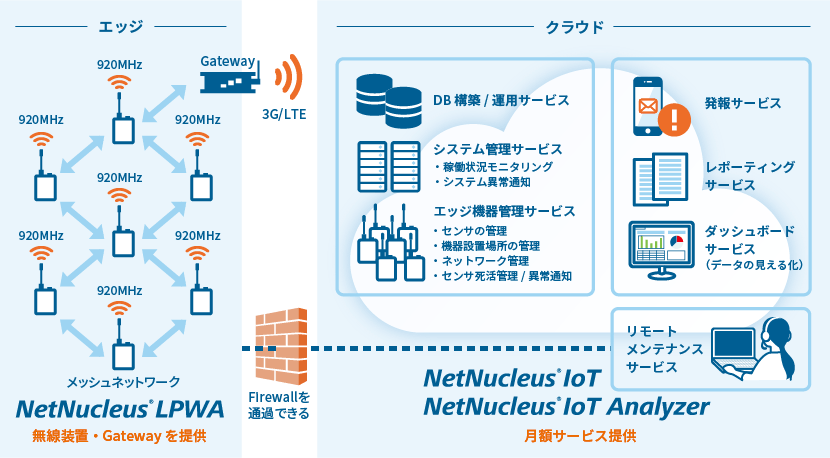 NetNucleus IoT
