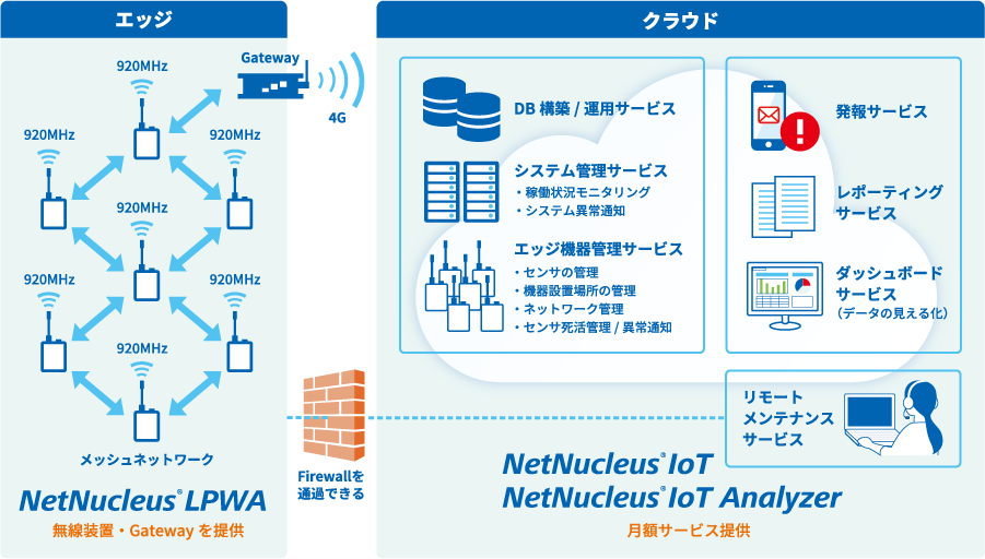 NetNucleus IoT