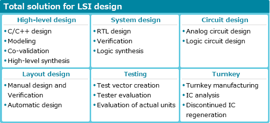 LSI Business