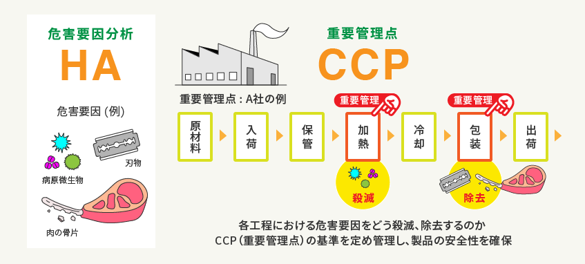 HA（危害要因分析）と CCP（重要管理点）の一例