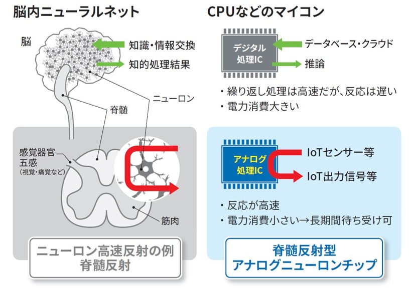 アナログニューロンチップ