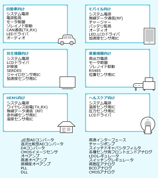 経験分野